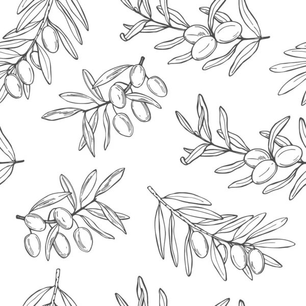Olive Dessinée Main Branches Avec Des Fruits Modèle Sans Couture — Image vectorielle