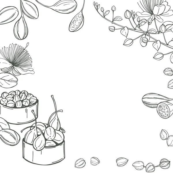 Fruits Comestibles Dessinés Main Bourgeons Câpres Fond Vectoriel Illustration Croquis — Image vectorielle