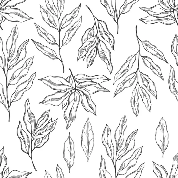 Hand Drawn Laurel Plant Vector Seamless Pattern Sketch Illustration — 스톡 벡터