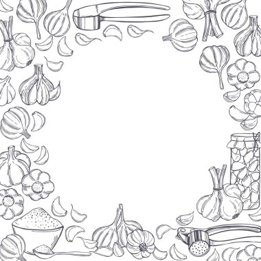 El yapımı sarımsaklı vektör arkaplan. Çizim çizimi