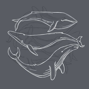 El yapımı balinalar. Vektör çizimi çizimi.