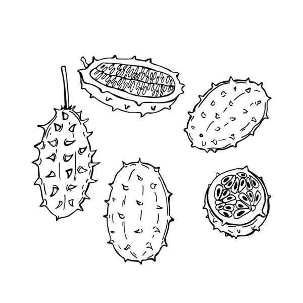 Frutos Africanos Dibujados Mano Kiwano Cucumis Metuliferus Pepino Cuernos Melón — Archivo Imágenes Vectoriales
