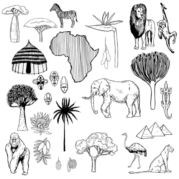 Africa Set Vector Sketch Illustration — Stock Vector