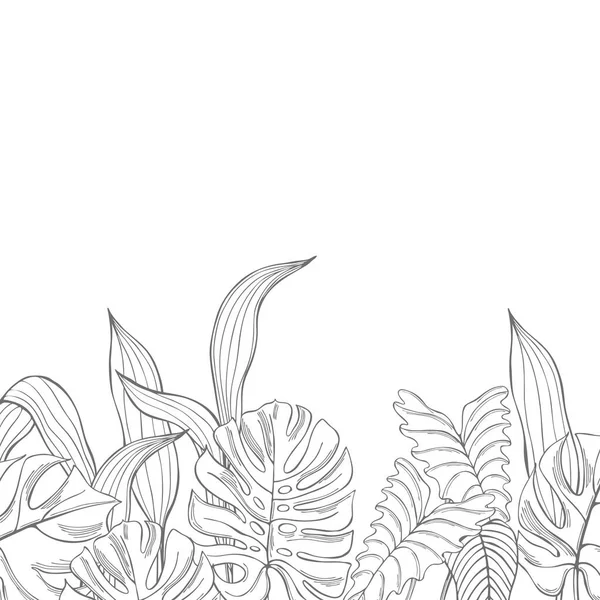 Fondo Vectorial Con Plantas Tropicales Dibujadas Mano Ilustración Del Boceto — Vector de stock