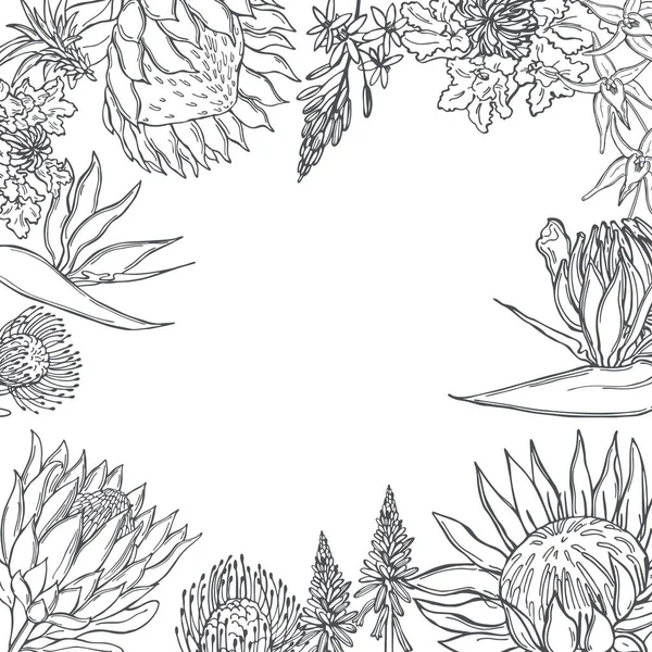 Handritade Afrikanska Blommor Vektorbakgrund Skiss Illustration — Stock vektor
