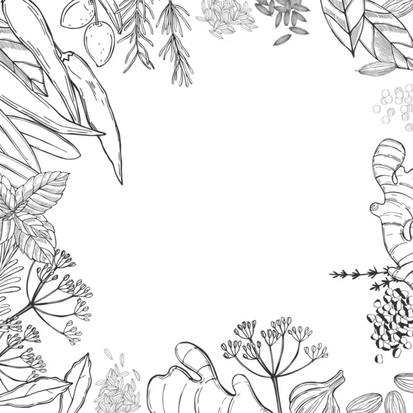 Fond Vectoriel Avec Des Épices Des Herbes Dessinées Main Illustration — Image vectorielle