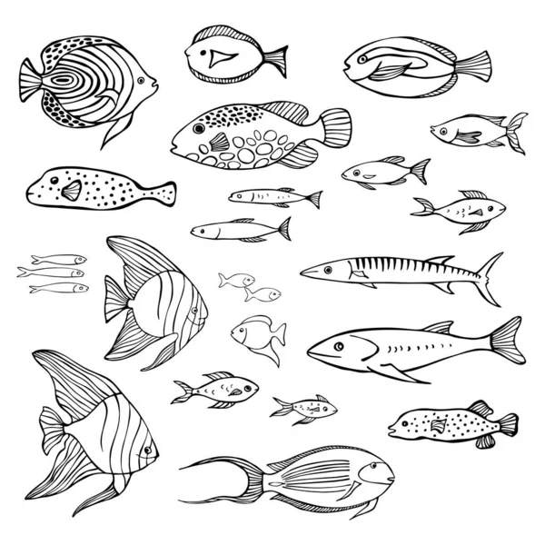 Peces Marinos Dibujados Mano Dibujo Vectorial Ilustración — Vector de stock