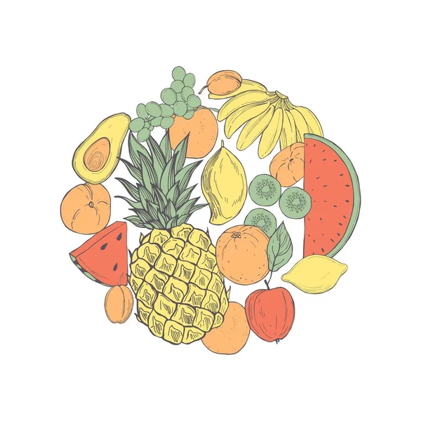 Handgezeichnete Früchte Kreis Vektorskizze Als Illustration — Stockvektor