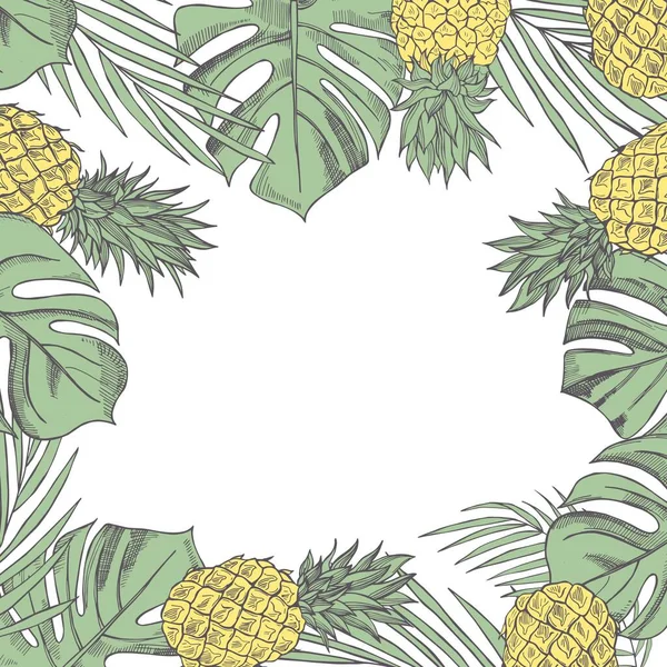Vector Zomer Achtergrond Met Hand Getekende Tropische Planten Ananas Tekening — Stockvector
