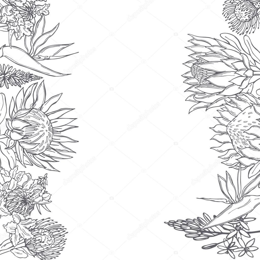 Hand drawn African flowers. Vector  background. Sketch illustration.