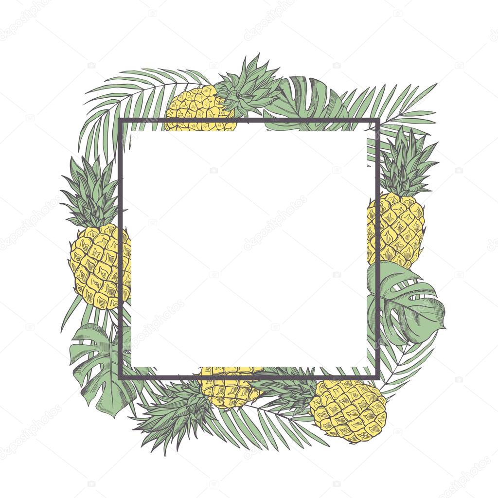 Vector summer frame  with hand drawn tropical plants and  pineapples.  Sketch  illustration.