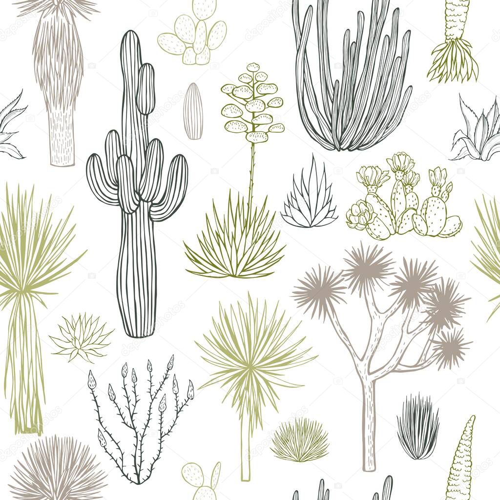 Desert plants, cacti. Vector  seamless pattern.
