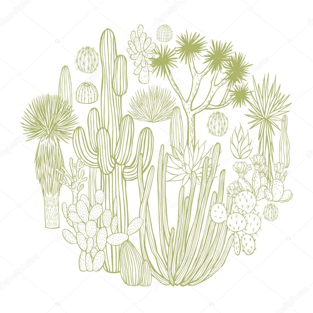 Desert plants, cacti in a circle. Vector sketch  illustration.
