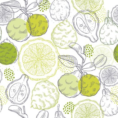 El çizimi bergamot meyvesi. Vektörsüz desen.