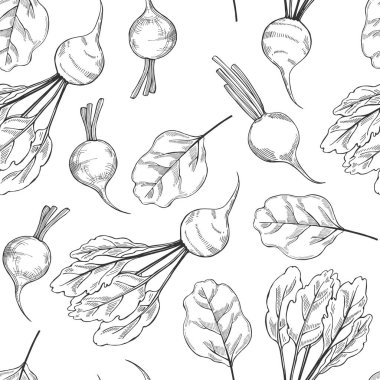 Elle çizilmiş pancar kökleri. Vektörsüz desen.