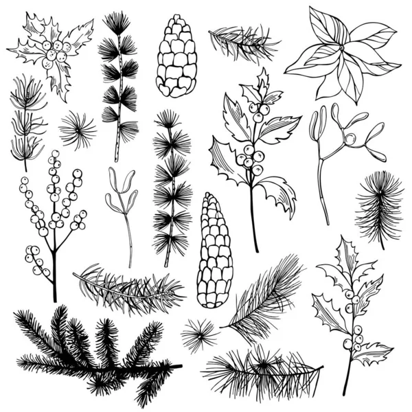 Plantes Noël Illustration Vectorielle Dessinée Main — Image vectorielle