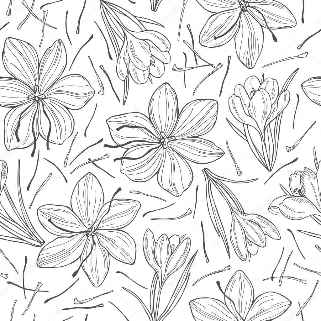 Vector seamless pattern with  hand drawn  saffron spice. 