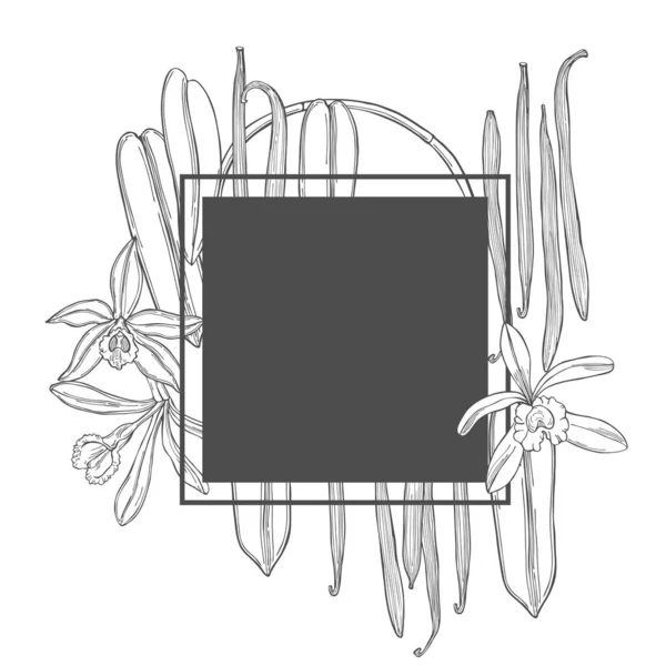 Vektorový Rám Ručně Kreslenou Vanilkou Moduly Květiny Obrázek Náčrtu — Stockový vektor
