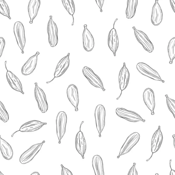 Une Plante Cardamome Modèle Sans Couture Vectoriel — Image vectorielle