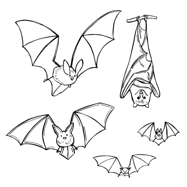  Beyaz arka planda el çizimi yarasalar. Vektör çizimi çizimi.