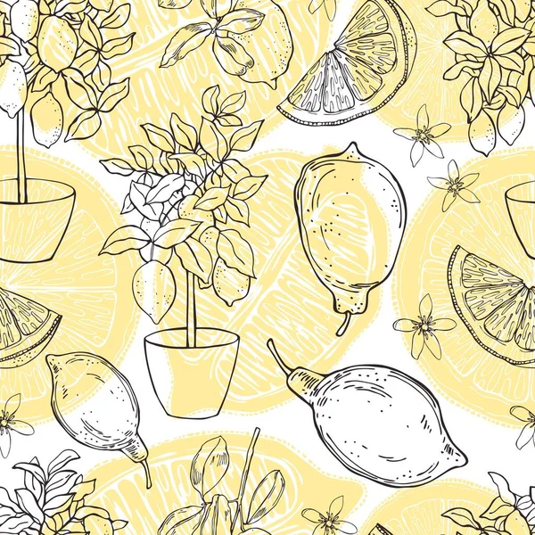 手描きのレモンとベクトルシームレスパターン ポットの果物 — ストックベクタ