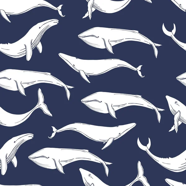 Baleias Desenhadas Mão Padrão Sem Costura Vetorial — Vetor de Stock