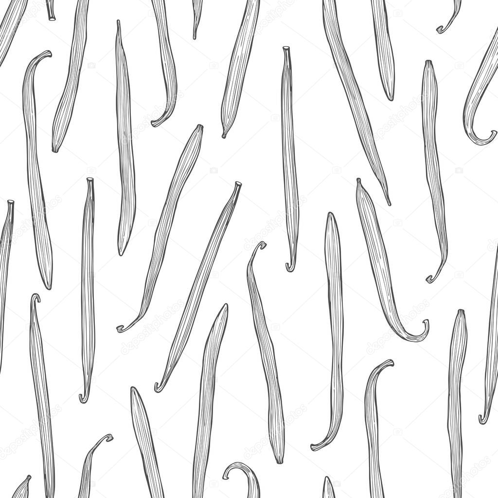Vector  seamless pattern with hand drawn vanilla pods. Sketch  illustration.