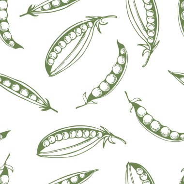 Beyaz arka planda elle çizilmiş bezelyeler. Vektörsüz desen.