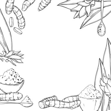 El çizimi baharatlı vektör arkaplanı. 