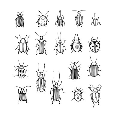 Beyaz arka planda el yapımı böcekler. Vektör çizimi çizimi