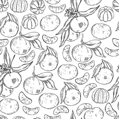 Beyaz arka planda elle çizilmiş mandalinalar. Vektörsüz desen 