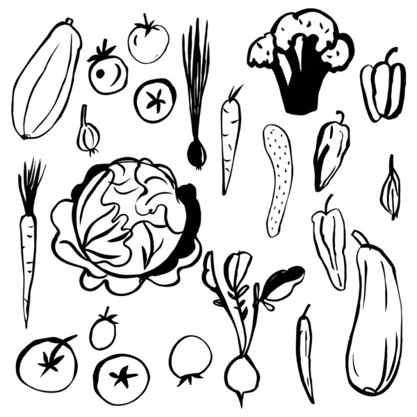 Hand Drawn Vegetables White Background Vector Sketch Illustration — Stock Vector