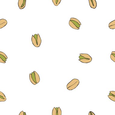 El yapımı fındık. Pistachio. Vektörsüz desen