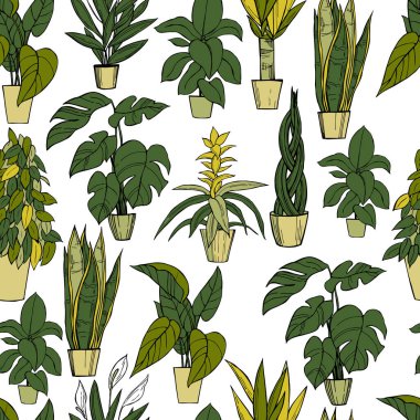 El yapımı ev bitkileri. Vektörsüz desen .