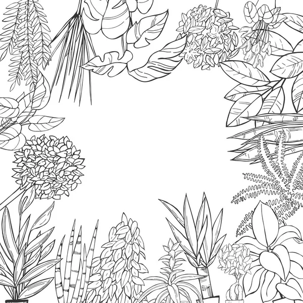 Vektorhintergrund Mit Handgezeichneten Zimmerpflanzen Skizzenillustration — Stockvektor