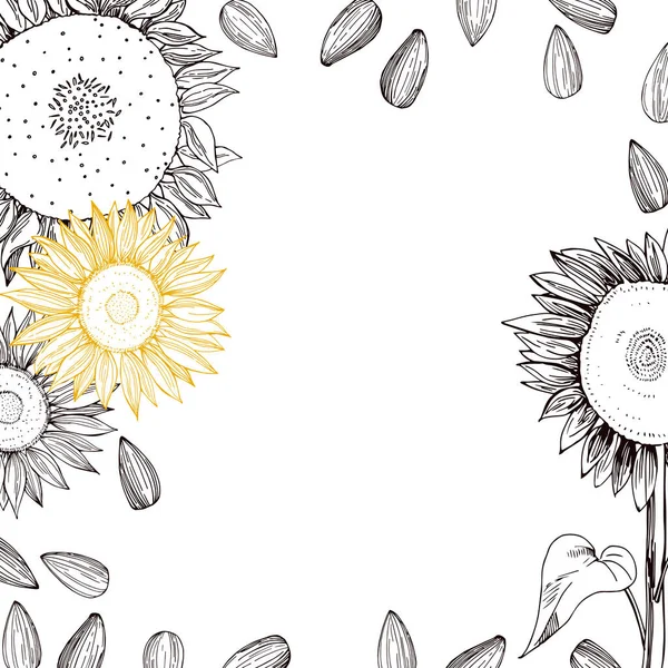 Векторний Фон Намальованим Вручну Соняшником Насінням Ескізна Ілюстрація — стоковий вектор