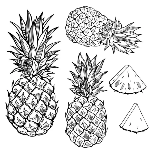 Frutos Desenhados Mão Sobre Fundo Branco Abacaxi Desenho Vetorial Ilustração — Vetor de Stock