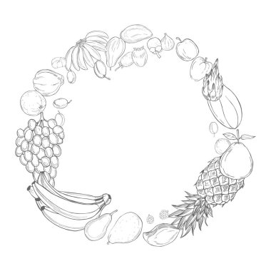 Beyaz arka planda elle çizilmiş meyveler. Vektör çizimi çizimi.