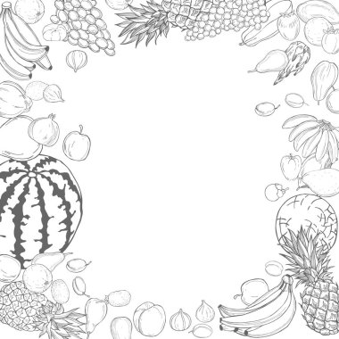 Beyaz arka planda elle çizilmiş meyveler. Vektör çizimi çizimi.