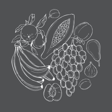 Elle çizilen meyveler gri arka planda daire çiziyor. Vektör çizimi çizimi.