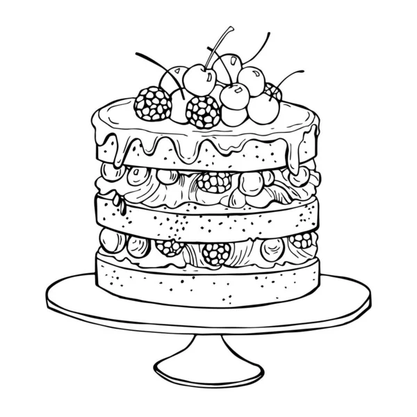 Handgemachter Kuchen Mit Beeren Vektorskizze Als Illustration — Stockvektor