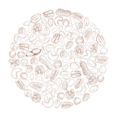 Çemberin içinde el yapımı fındık. Vektör çizimi çizimi.