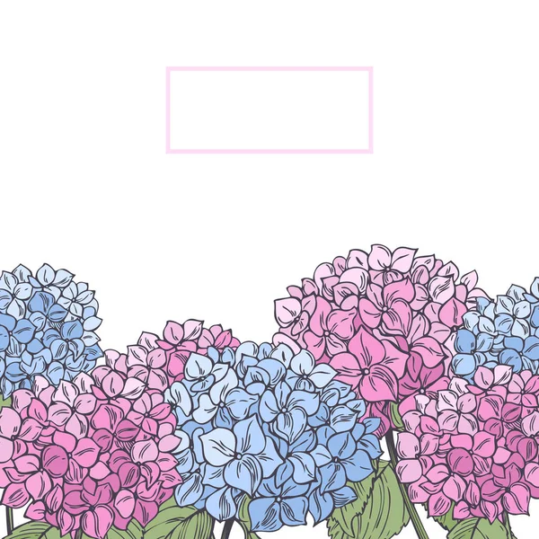 Vektorové Pozadí Ručně Kreslené Zahradní Květiny Růžová Modrá Hortenzie — Stockový vektor