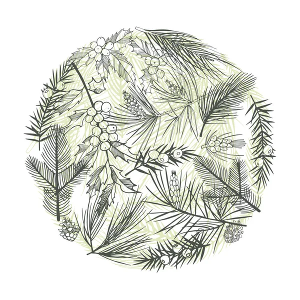 Weihnachtspflanzen Handgezeichnete Vektorillustration — Stockvektor