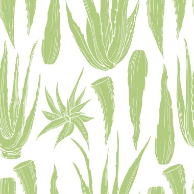 El yapımı aloe vera bitkisi. Vektörsüz desen