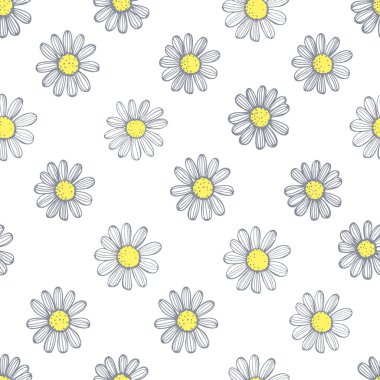Beyaz arka planda el çizimi papatya çiçekleri. Vektör pürüzsüz desen