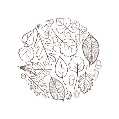 El yapımı sonbahar yaprakları. Vektör illüstrasyonu. 