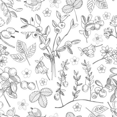 El yapımı orman meyvesi. Vektörsüz desen .