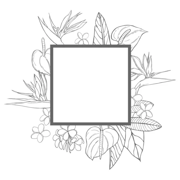 Moldura Vetorial Com Flores Tropicais Desenhadas Mão Desenho Ilustração — Vetor de Stock