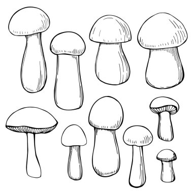 El çizimi mantarlar. Vektör çizimi çizimi.